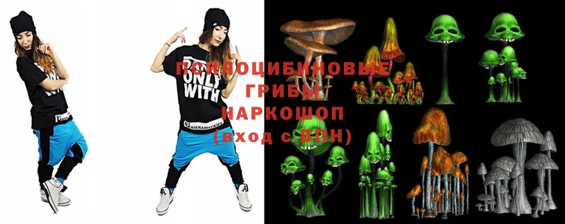 цена   Аркадак  Псилоцибиновые грибы Magic Shrooms 